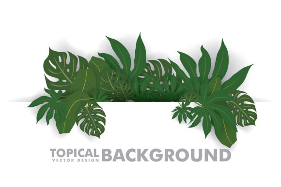 Download Fresh Green Tropical Leaves - Tropical Collection