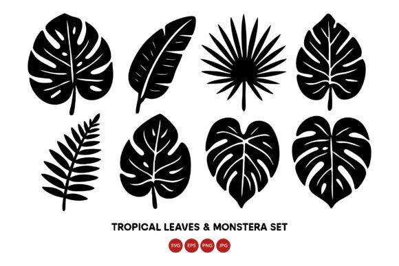 Download Tropical Leaves and Monstera Leaf Vecto - Tropical Collection